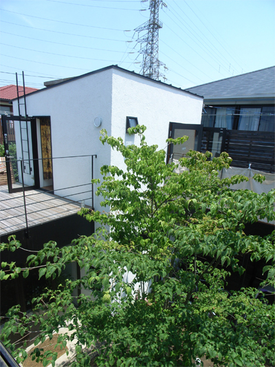 301.wada.jpg