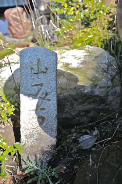 5179.jpg
